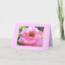 Suche nach denken sie rosa karten Rose