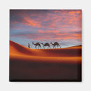 Suche nach wüsten magnete Perserländer