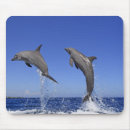 Suche nach delfin mousepads Natur