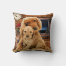 Suche nach labrador retriever kissen Haustiere