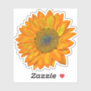 Suche nach sonnenblume aufkleber Sonnig