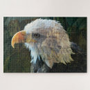 Suche nach raubvogel puzzle Rätsel
