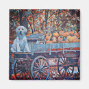 Suche nach mia magnete Herbst