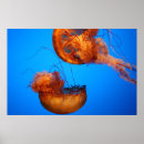 Suche nach gelee kunst Natur