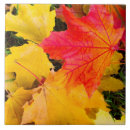 Suche nach herbst blätter fliesen Ahorn