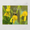 Suche nach hummeln postkarten Blume