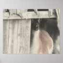 Suche nach lama kunst poster Für sie