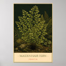 Suche nach farne poster Natur