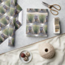 Suche nach ohren geschenkpapier Kaninchen