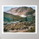 Suche nach rinder poster Amerika