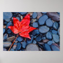 Suche nach heller hintergrund poster Farbe