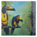 Suche nach toucans fliesen Dschungel