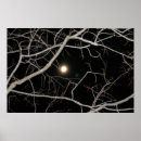 Suche nach vollmond poster Nacht