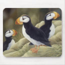 Suche nach papageientaucher mousepads Atlantisch