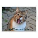 Suche nach traurige katze postkarten Ermutigung