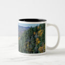 Suche nach kutscher tassen Wald