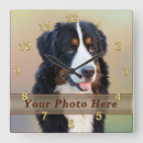 Suche nach haustiere wanduhren Bild