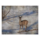 Suche nach huf poster Natur