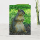 Suche nach verzeihen sie mir karten Liebe