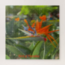 Suche nach paradiesvogel puzzle Fotografie