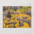 Suche nach aspen postkarten Fall