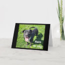 Suche nach cooler hund karten Lustig