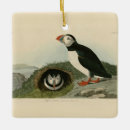 Suche nach puffins ornamente Puffen