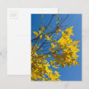Suche nach herbst blätter postkarten Baum