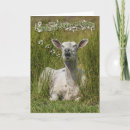 Suche nach singing postkarten Glücklich