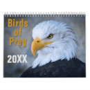 Suche nach adler kalender Kahl