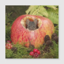 Suche nach stange magnete Niedlich