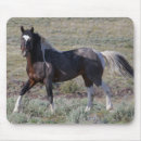 Suche nach wildes pferd mousepads Hengst