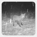 Suche nach fuchs im schnee aufkleber Winterfuchs