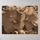 Suche nach pair poster Natur