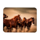 Suche nach laufendes pferd Ranch