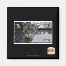 Suche nach fühlen magnete Ich kann habe cheezburger