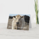 Suche nach rinder karten Western