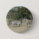 Suche nach zebras buttons Tiere