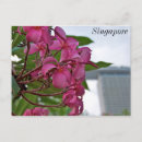 Suche nach frangipani poster Blühen
