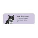 Suche nach schwarzweiss katze Miezekatze