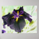 Suche nach blumendrucke poster Botanisch