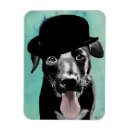 Suche nach bowl magnete Bowlinghut