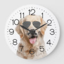 Suche nach sunglasses poster Pet