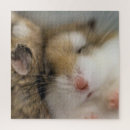 Suche nach hamster sport spiele Wütend