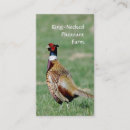 Suche nach fasan visitenkarten Vögel
