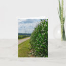 Suche nach maisfeld karten Bauernhof