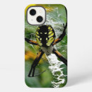 Suche nach spinne iphone hüllen Käfer