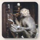 Suche nach affe untersetzer Lustig