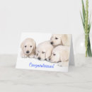 Suche nach duft karten Hund