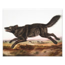 Suche nach wolf illustration poster Illustrationen